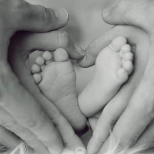 Chrysalis Birth Services