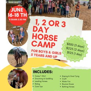 Horse Camp
