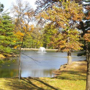 Wild Acres Park
