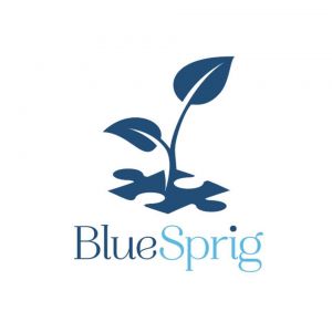 BlueSprig St. Louis - ABA Therapy