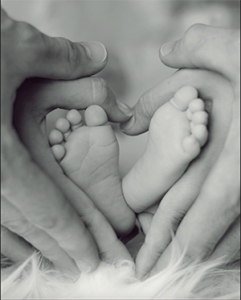 Chrysalis Birth Services