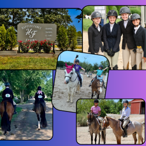 Happenstance Farms Riding Lessons
