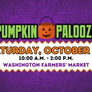 10/25 Pumpkin Palooza in Washington