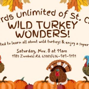 11/08 Wild Turkey Wonders at Wild Birds Unlimited