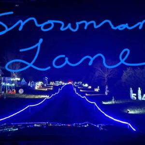 11/28-12/28 Snowman Lane in Farmington