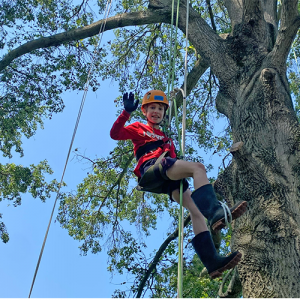 S.O.A.R (Summer Opportunities At Rossman)