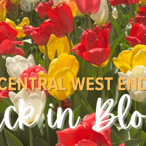 04/11 Back in Bloom on the Plaza