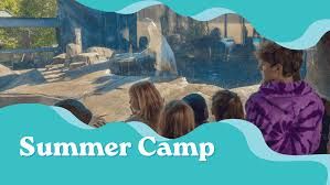 Brentwood Summer Camp at the Brentwood Community Center