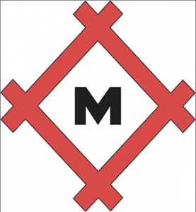 MAC Swim and Dive Team