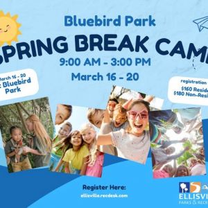 Ellisville Spring Break Camp at Bluebird Park