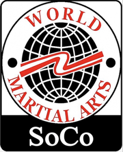 World Martial Arts Academy