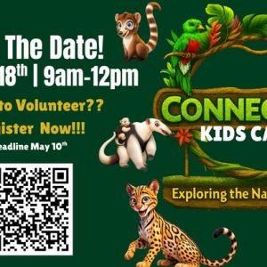 Connect Church VBS