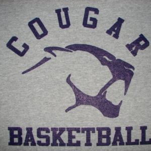 St. Louis Cougars Basketball