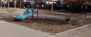 Murphy Park