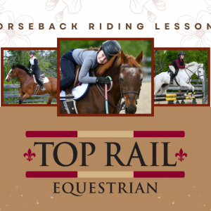 Top Rail Equestrian Riding Lessons