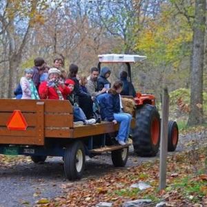 10/02-10/03 Fall Hayrides at Faust Park