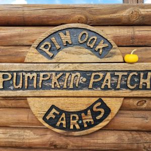 Pin Oak Farms U-Pick Pumpkin Patch
