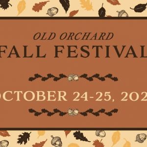 10/24-10/25 Fall Festival in Old Orchard Webster Groves