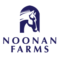 Noonan Horse Farm Horse Riding Summer Camp
