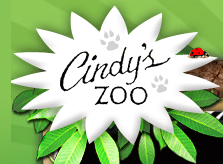 Cindy's Zoo
