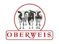 Oberweis Ice Cream Cakes and Pies