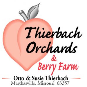 Thierbach Orchards Strawberries