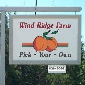 Wind Ridge Farm U-Pick