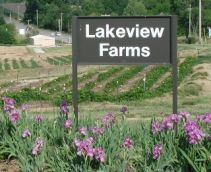 Lakeview Farms- Raspberry