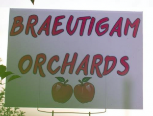 Braeutigam Orchards  U-Pick Apples