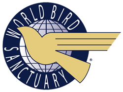 World Bird Sanctuary Eagle Adventure Camp