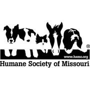 Humane Society of Missouri Summer Adventure Camps