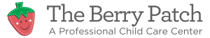 Berry Patch Professional Child Care Center