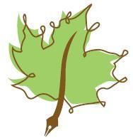 Summer Reading Program at Maplewood Public Library