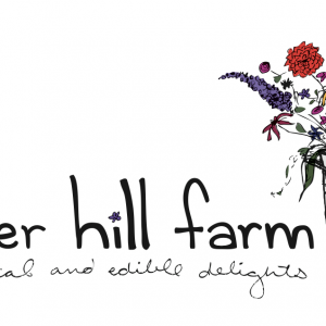 Flower Hill Farm Pick Your Own Flowers