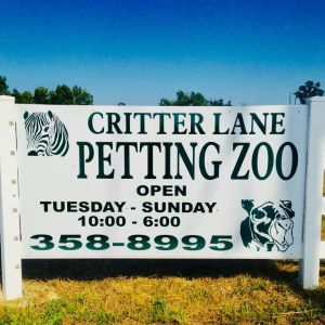 Critter Lane Petting Zoo