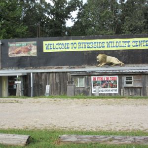 Riverside Wildlife Center